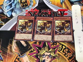 スプリガンズ・キャプテン サルガス BLVO 3 レア 3枚セット てら