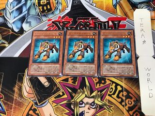 スレイブタイガー EXP1 5 レア 3枚セット てら