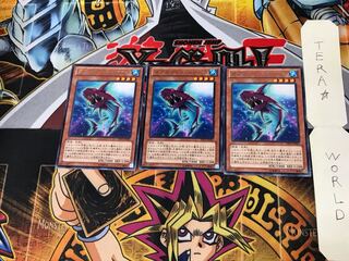 ダブルフィン・シャーク DP15 1 レア 3枚セット てら