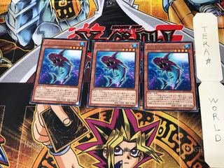 ダブルフィン・シャーク DP15 3 レア 3枚セット てら