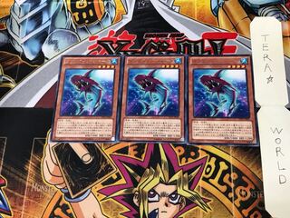 ダブルフィン・シャーク DP15 4 レア 3枚セット てら