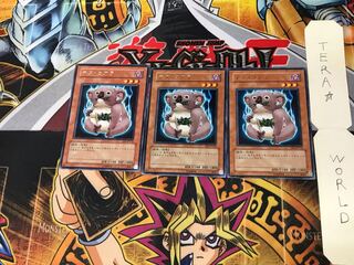 Des Koala EE1 1 Rare Set of 3 Tera