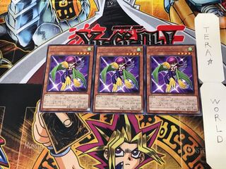 Toon Harpie Lady WPP1 3 Rare Set of 3 Tera