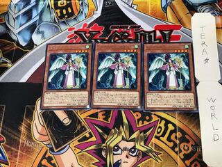 ドラグニティ-セナート CYHO 2 レア 3枚セット てら