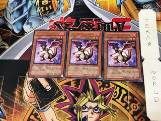 Dread Dragon TSHD 3 rare, set of 3 tera