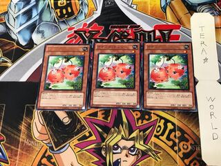 Naturia Cherries STBL 1 rare set of 3 tera