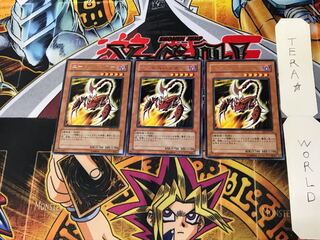 Needle Burrower EE2 1 Rare Set of 3 Tera.