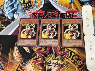 Needle Burrower EE2 4 Rare Set of 3 Tera.