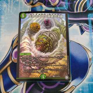 Life Life, Earth and Roaring Decision SR S12/S12