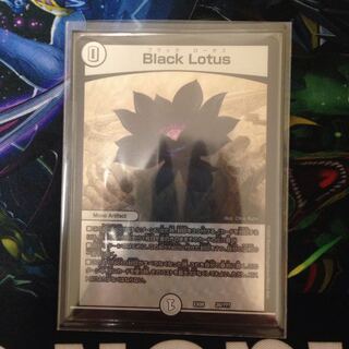 ブラックロータス BLACK LOTUS