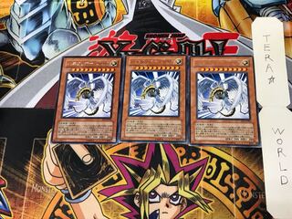 Winged Kuriboh LV10 DP1 1 Rare Set of 3 Tera