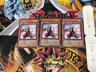 Harpie's Pet Baby Dragon EOJ 1 rare, set of 3 Tera.