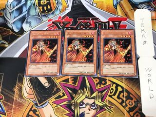 Fire Princess DL3 1 rare, set of 3 Tera.