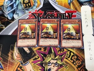 Pyramid Turtle BE02 1 rare, set of 3 Tera.