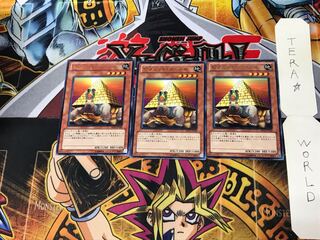 Pyramid Turtle BE02 2 rare, set of 3 Tera.