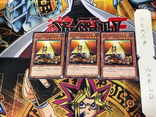 Pyramid Turtle BE02 4 rare, set of 3 Tera.