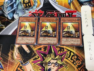 Pyramid Turtle BE2 2 rare, set of 3 Tera.