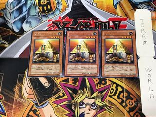 Pyramid Turtle BE2 5 Rare, set of 3 Tera.