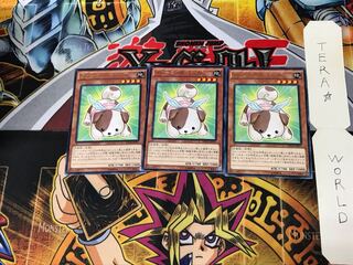 ファーニマル・ドッグ NECH 1 レア 3枚セット てら