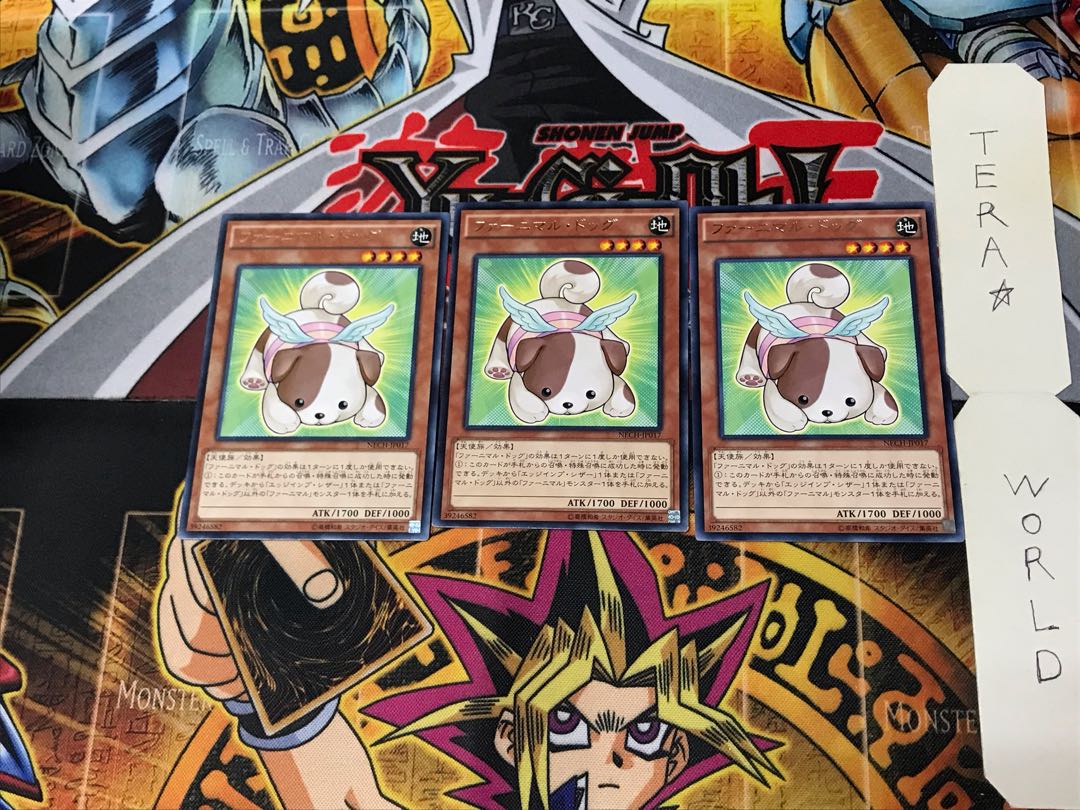 Fluffal Dog NECH 2 Rare Set of 3 Tera