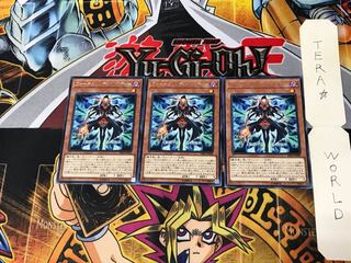 Fortune Lady Past RIRA 2 Rare Set of 3 Tera