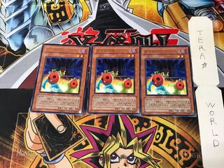 Cherry Inmato TSHD 2 Rare Set of 3 Tera.