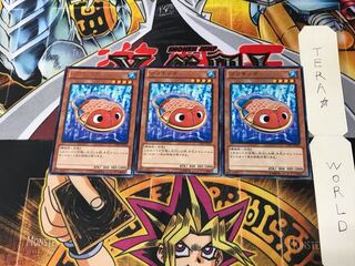 ブリキンギョ CPZ1 4 レア 3枚セット てら