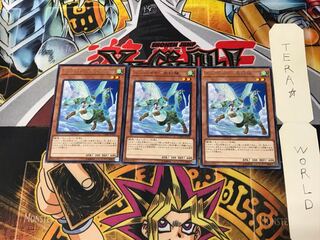 Hop Ear Squadron CHIM 1 rare, set of 3 Tera.