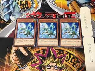 Hop Ear Squadron CHIM 3 rare, set of 3 Tera.