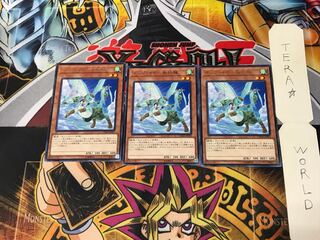 Hop Ear Squadron CHIM 5 rare, set of 3 Tera.