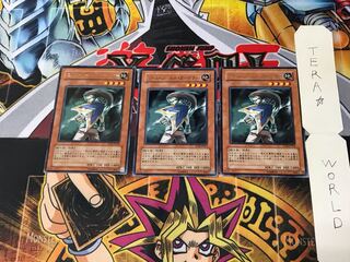 ミドル・シールド・ガードナー TLM 3 レア 3枚セット てら