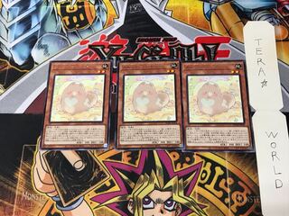 Melffy Puppy ROTD 2 Rare Set of 3 Terra