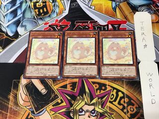 Melffy Puppy ROTD 3 Rare Set of 3 Tera