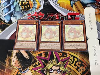 Melffy Puppy ROTD 4 Rare Set of 3 Tera