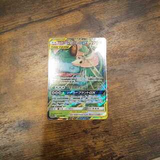 フシギバナ&ツタージャ