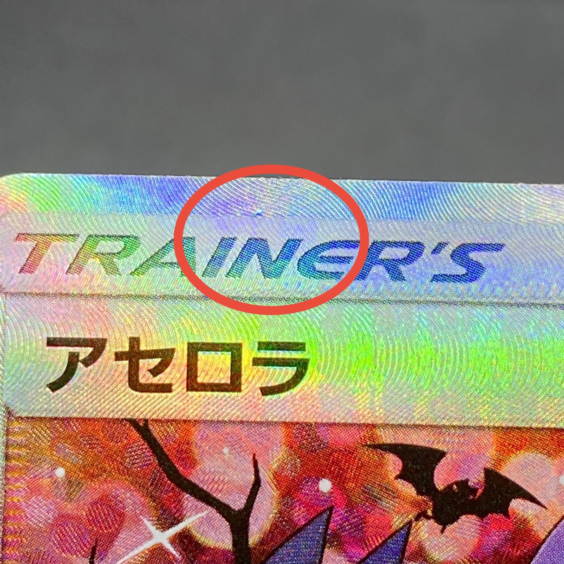 Acerola Ekuba Acerola PROMO 395/SM-P