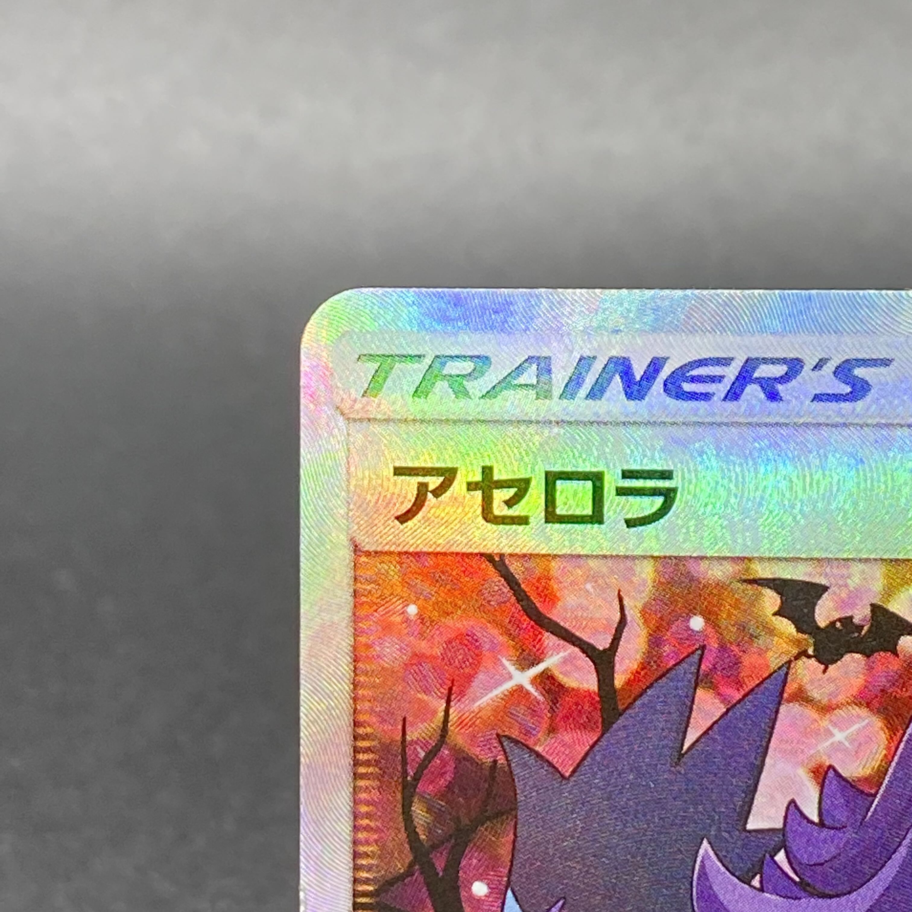 Acerola Ekuba Acerola PROMO 395/SM-P