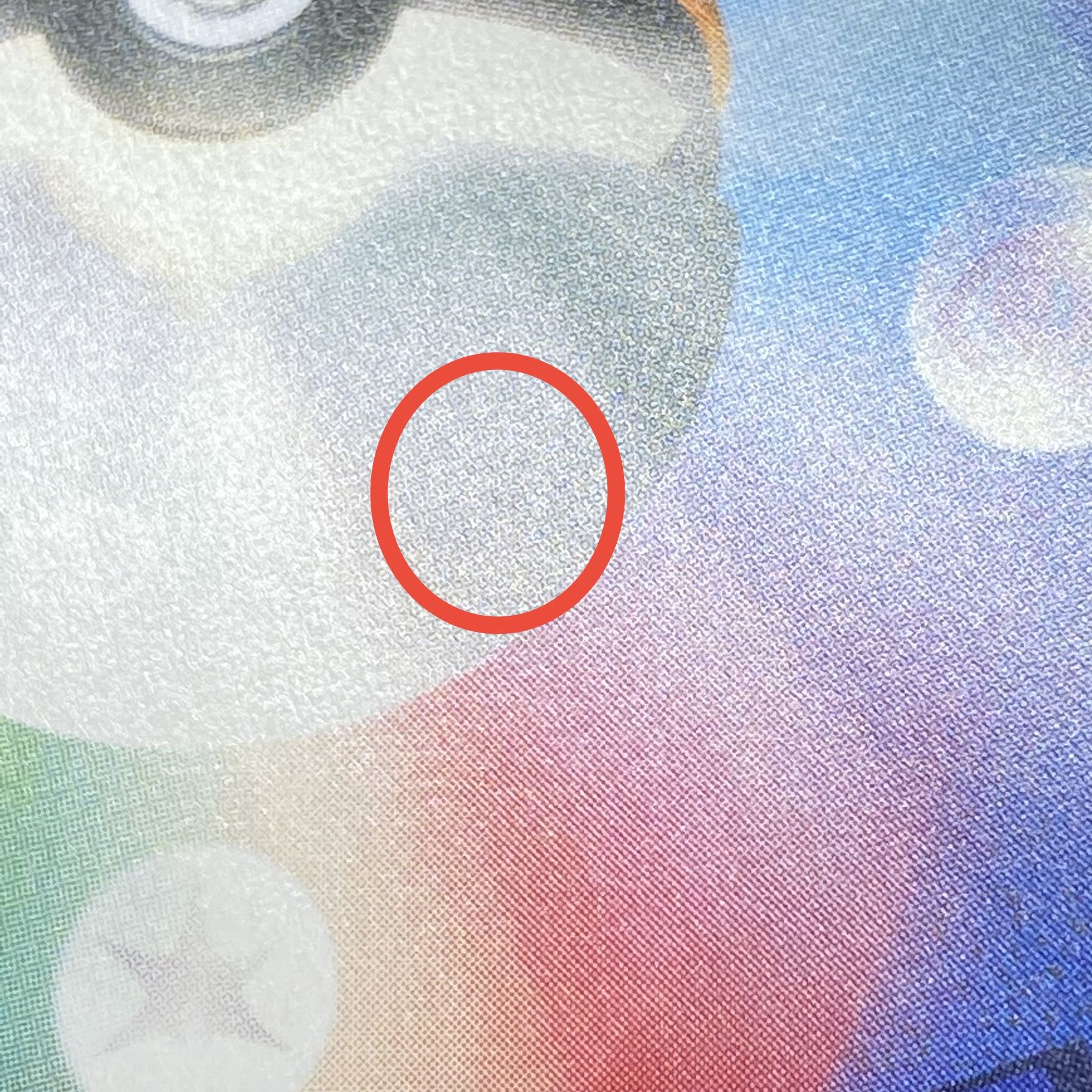 リーリエ SR がんばリーリエ SR 119/114