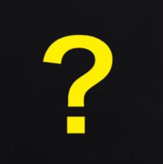 ようちか様専用