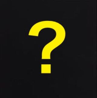 最近ポケカ始めました！様専用