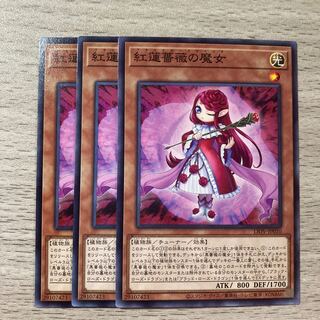 Ruddy Rose Witch Normal JP010 3 pieces