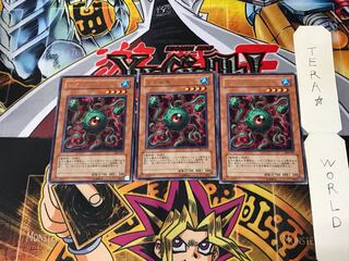 Lekunga 306 2 rare, set of 3 tera