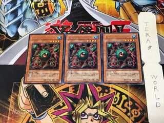 Lekunga EE2 4 rare, set of 3 tera