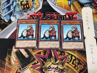 Rescue Ferret COTD 2 Rare, set of 3 Tera.