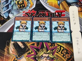 Rescue Hamster NECH 1 rare, set of 3 Tera.