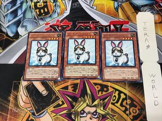 Rescue Rabbit PHSW 2 rare, set of 3 Tera.