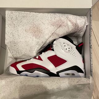 Nike Air Jordan 6 Carmine カーマイン 28cm 28cm