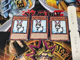 Rescue Rabbit PHSW 4 rare, set of 3 Tera.