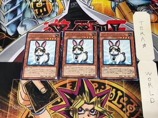 Rescue Rabbit PHSW 5 rare, set of 3 Tera.