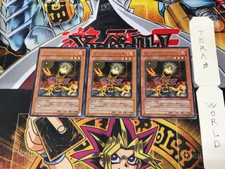 ローンファイア・ブロッサム EXP1 5 レア 3枚セット てら